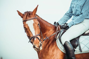 Genç bayan sporcu ata biniyor. Baharda sahada atlama eğitimi. At biniciliği. Sporda cinsiyet eşitliği.