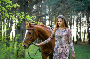 Genç bir kız yazın ormanda atıyla birlikte yürür. Atlara bayılırım. Üreyen yarış atları.