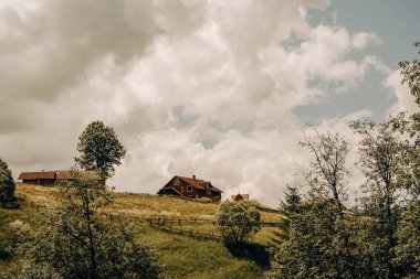 Doğu Avrupa 'nın dağ manzaraları. Batı Ukrayna 'nın manzaraları, Ukrayna' nın Karpatya manzaraları.