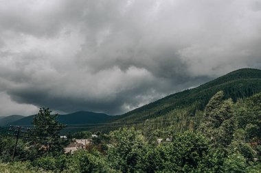 Doğu Avrupa 'nın dağ manzaraları. Batı Ukrayna 'nın manzaraları, Ukrayna' nın Karpatya manzaraları.