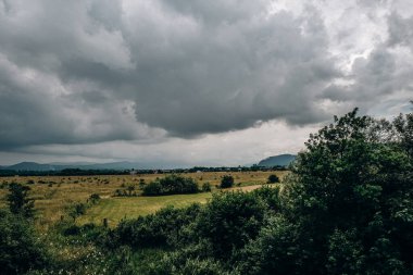 Doğu Avrupa 'nın dağ manzaraları. Batı Ukrayna 'nın manzaraları, Ukrayna' nın Karpatya manzaraları.