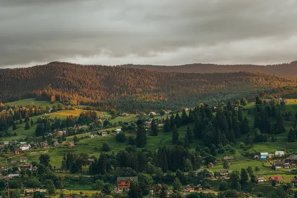 Doğu Avrupa 'nın dağ manzaraları. Batı Ukrayna 'nın manzaraları, Ukrayna' nın Karpatya manzaraları.