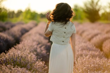 Genç, güzel, esmer bir kadın yazın gün batımında açan lavanta tarlasında yürüyor..