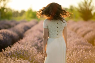 Genç bir esmer yazın günbatımında buğday tarlalarında yürür. Organik buğday ve arpa yetiştiriyor..