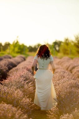 Genç bir esmer yazın günbatımında buğday tarlalarında yürür. Organik buğday ve arpa yetiştiriyor..