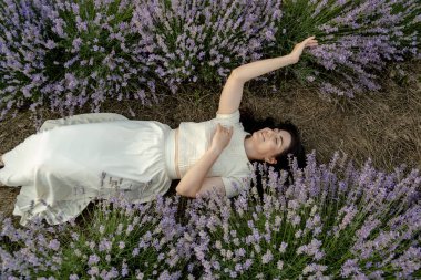 Güzel bir esmer lavanta tarlasında yatıyor. Yazın kırsal bölgelerdeki çiçek açan tarlalara seyahat et..