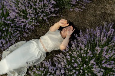 Güzel bir esmer lavanta tarlasında yatıyor. Yazın kırsal bölgelerdeki çiçek açan tarlalara seyahat et..