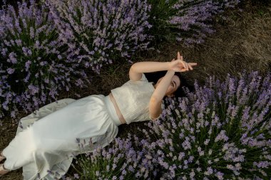 Güzel bir esmer lavanta tarlasında yatıyor. Yazın kırsal bölgelerdeki çiçek açan tarlalara seyahat et..