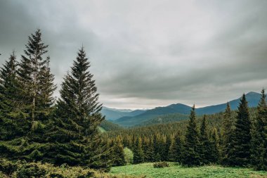 Dağ baharı manzarası. Hava bulutlu. Gökyüzü kara bulutlarla kaplıdır. Baharda güzel dağ manzarası.