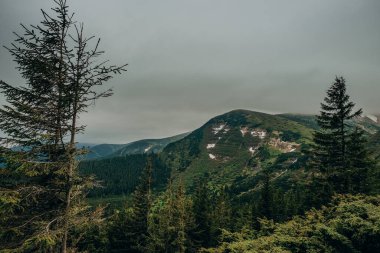 Dağ baharı manzarası. Hava bulutlu. Gökyüzü kara bulutlarla kaplıdır. Baharda güzel dağ manzarası.
