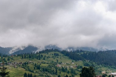 Yazın kozalaklı bir ormanın arka planına karşı bir dağ köyünün manzarası. Yazın dağlara seyahat. Yazın otantik bir dağ köyünde yaz tatili.