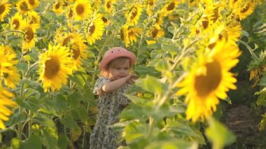 Yazın açan ayçiçeği tarlasında yürüyen küçük bir kız. Mutlu çocuklar yetiştirmek. Ayçiçeği tarlasında kızımla yürüyorum..