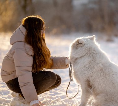 Kışın sevgili evcil hayvanı Samoyed ile parkta bir gölün kıyısında yürüyen bir kız. Kışın köpeği gezdiriyorum..