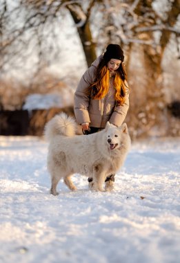Kışın sevgili evcil hayvanı Samoyed ile parkta bir gölün kıyısında yürüyen bir kız. Kışın köpeği gezdiriyorum..