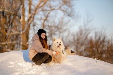 Kışın sevgili evcil hayvanı Samoyed ile parkta bir gölün kıyısında yürüyen bir kız. Kışın köpeği gezdiriyorum..