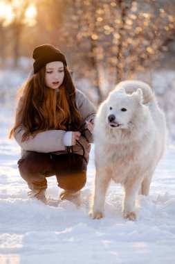 Kışın sevgili evcil hayvanı Samoyed ile parkta bir gölün kıyısında yürüyen bir kız. Kışın köpeği gezdiriyorum..