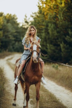 Genç ve güzel bir kadın sonbaharda ormanda ata biner. Sonbaharda akşamları ata binmek. At yarışı sporu için çiftlikte at yetiştiriyorum..