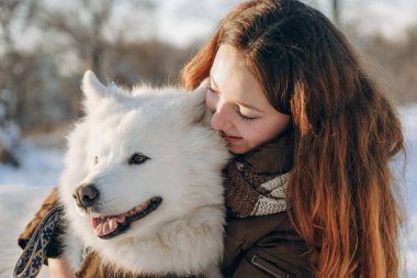Favori Samoyed hayvanınla kış yürüyüşü. Köpekleri severim. Noel beklentisiyle köpeği gezdiriyorum..