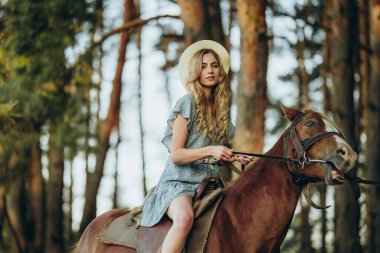 Genç ve güzel bir kadın sonbaharda ormanda ata biner. Sonbaharda akşamları ata binmek. At yarışı sporu için çiftlikte at yetiştiriyorum..