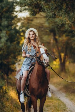 Genç ve güzel bir kadın sonbaharda ormanda ata biner. Sonbaharda akşamları ata binmek. At yarışı sporu için çiftlikte at yetiştiriyorum..