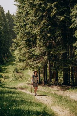 Dağlara yaz gezisi. Yazın ormanda bir kadın yürür. Dağlarda yürüyüş. Yazın aktif tatil. Orman yolunda yürü.
