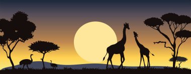 Sarı günbatımı vektör siluetinde zürafalar olan Afrika manzarası