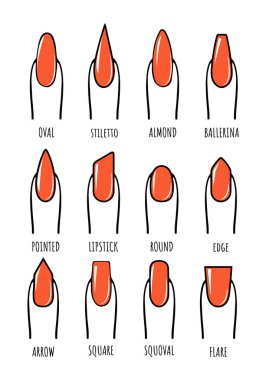 Çivi manikür vektör çizimi. Çivi şekilleri vektör çizimleri koleksiyonu. Tırnak şekilleri için kırmızı tırnaklı kadın parmağı.