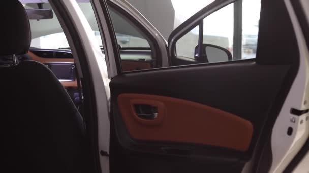 Auto Schallschutz Geräuschreduzierung Prozess Der Kerl Hat Ein Schallisoliertes Auto — Stockvideo