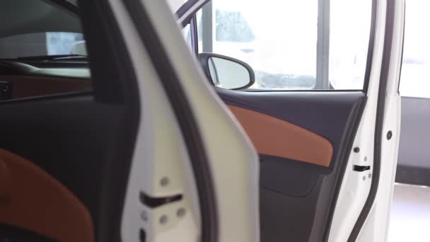 Araba Ses Yalıtımı Gürültü Azaltma Işlemi Adam Ses Geçirmez Araba — Stok video