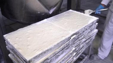 Türk lokum fabrikasında bir makinenin üzerinde duran Türk lezzeti videosu. Şekerleme fabrikası, Türk lokumu atölyesi üretimi. 