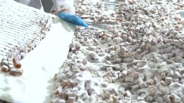 トルコの喜びの自動工場機械スライス正方形のビュー 菓子工場 トルコの喜びワークショップの生産 — ストック動画