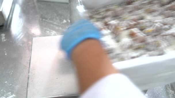 看到一个自动化的工厂机器切割机正方形土耳其快意 糖果制造厂 土耳其欢乐作坊生产 — 图库视频影像