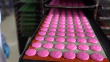 Mat in a Close-up on Production Line, Macaron Factory, Food Factory 'de Pembe Makarna Kabukları' ndan birden fazla makarna ve pembe renkli makarna yapıyorlar. 4K Video çekimi.