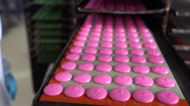 Produzione Macaron Multipli Macaron Colore Rosa Gusci Macaron Rosa Tappetino — Video Stock