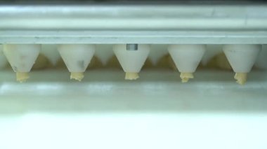 Tatlı hamur işi mekanizmadan geçer ve bir gıda fabrikasında üretim hattında yemek pişirmeye başlar. Yiyecek fabrikasında kuru kek üretimi. 4K video çekimi.