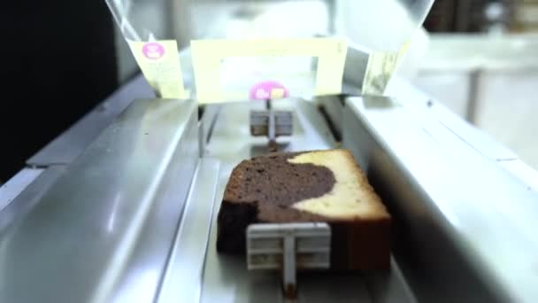 Ciasto Plasterkach Linii Produkcyjnej Fabryce Żywności Ciasto Krojenie Zbliżenie Produkcji — Wideo stockowe