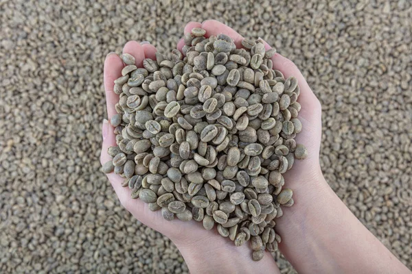 Green coffee beans. Raw coffee pouring from a handful in a bag, against the background of a warehouse, closeup side view.