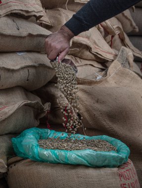 Yeşil kahve çekirdekleri. Bir avuç dolusu işlenmemiş kahveyi bir deponun arka planına yakın bir yerden poşete dolduruyor..
