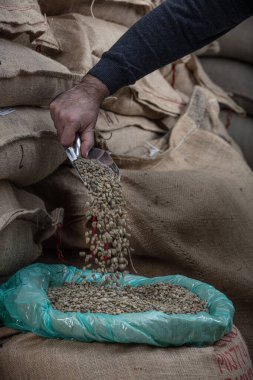 Yeşil kahve çekirdekleri. Bir avuç dolusu işlenmemiş kahveyi bir deponun arka planına yakın bir yerden poşete dolduruyor..