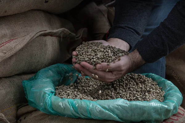 stock image Green coffee beans. Raw coffee pouring from a handful in a bag, against the background of a warehouse, closeup side view.