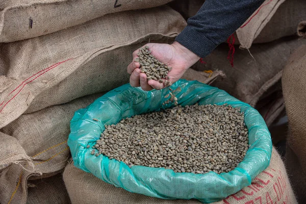 stock image Green coffee beans. Raw coffee pouring from a handful in a bag, against the background of a warehouse, closeup side view.