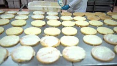 Pasta şefi, ticari mutfakta taze çikolatalı pasta yapıyor. Pastayı yapmak için son adım. Fabrikadaki pastanın tamamlanması. Şekerleme fabrikası. Yüksek kalite 4K görüntü.