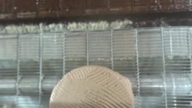 Pasta şefi, ticari mutfakta taze çikolatalı pasta yapıyor. Pastayı yapmak için son adım. Fabrikadaki pastanın tamamlanması. Şekerleme fabrikası. Yüksek kalite 4K görüntü.