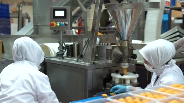 전통적 Icli Kofte 알려진 만들었다 미트볼 단계는 공장의 라인에서 비디오 — 비디오