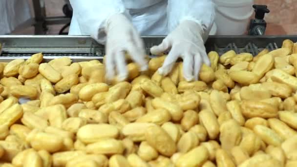 Приготовление Многих Сладких Смесей Производственной Линии Концепция Сладкой Еды Свежеиспеченные — стоковое видео