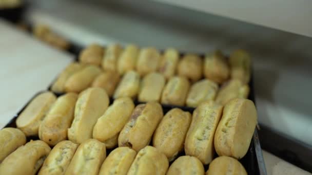 Kochen Viele Süße Baiser Fließband Sweet Food Konzept Frisch Gebackene — Stockvideo