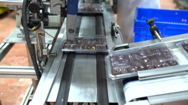 Gotowanie Wielu Słodkich Bezy Linii Produkcyjnej Koncepcja Słodkiego Jedzenia Świeżo — Wideo stockowe