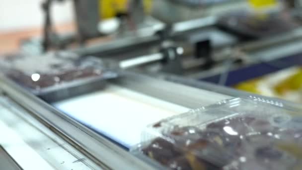 生産ラインで多くの甘いメレンゲを調理 甘い食べ物の概念 焼きたてのシャキッとした楕円形のエクレア 伝統的なフランスのエクレア 高品質4Kビデオキャプチャ — ストック動画