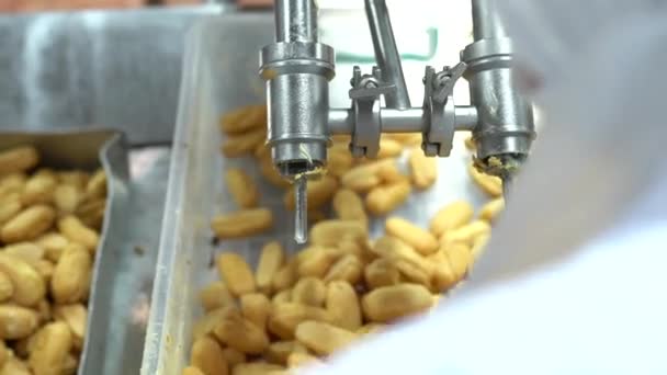 Kochen Viele Süße Baiser Fließband Sweet Food Konzept Frisch Gebackene — Stockvideo