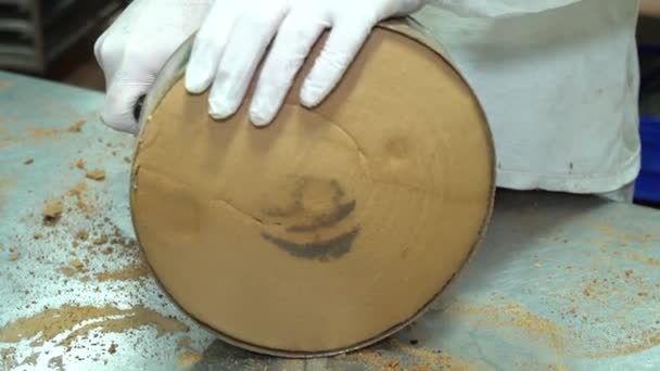 Yiyecek Fabrikasında Dilimlenmiş Sünger Keki Üretim Hattında Lezzetli Sünger Keki — Stok video